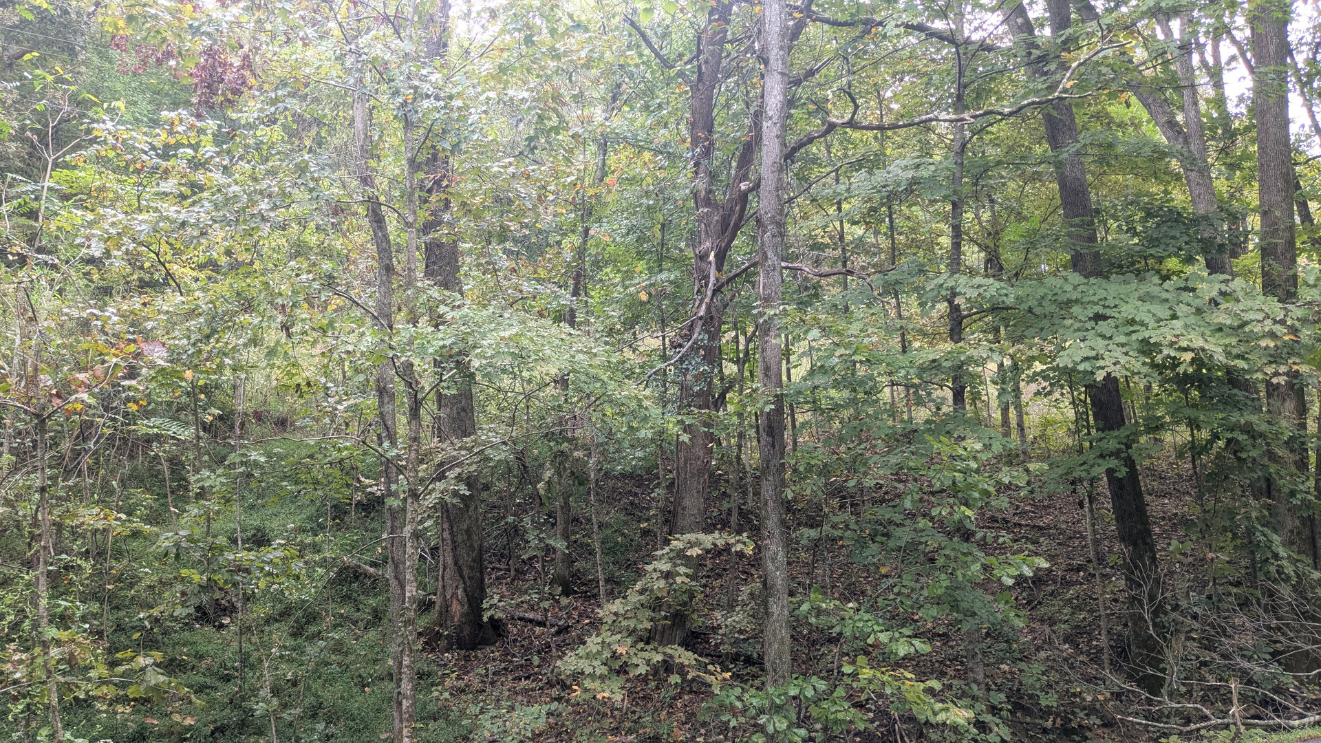 0 Greenvale Road